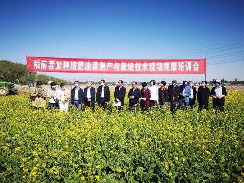 飼料綠肥油菜種植加工綜合利用關(guān)鍵技術(shù)研究與示范現(xiàn)場觀摩會成功舉辦，助推種植技術(shù)開發(fā)與集成應(yīng)用