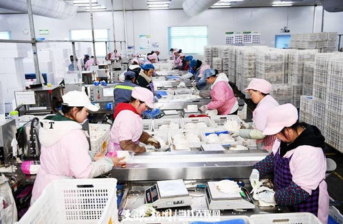 日產(chǎn)量達(dá)70噸，產(chǎn)值60余萬元 工廠化種植食用菌助農(nóng)增收的技術(shù)開發(fā)與實(shí)踐