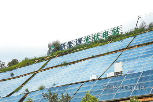 云南交投集團(tuán) 以新質(zhì)生產(chǎn)力賦能綠美通道經(jīng)濟(jì)，推動種植技術(shù)開發(fā)創(chuàng)新